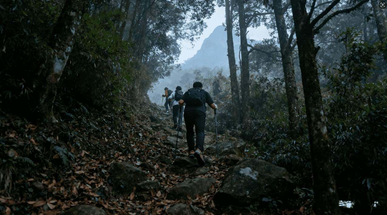 安卓用户必备的上推特加速器指南